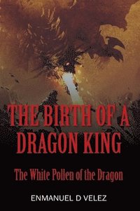 bokomslag The Birth of a Dragon King