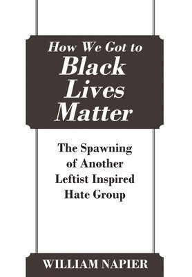 bokomslag How We Got to Black Lives Matter