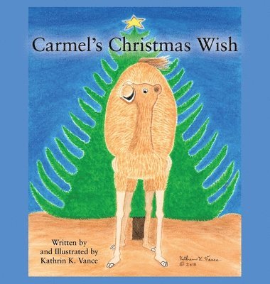 Carmel's Christmas Wish 1