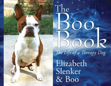 bokomslag Boo Book