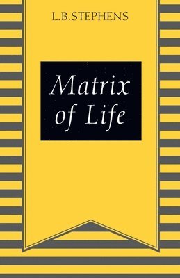 Matrix of Life 1