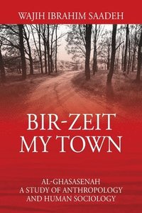 bokomslag Bir-Zeit My Town