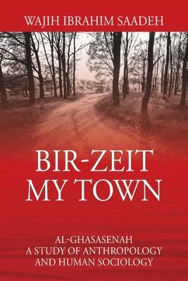 Bir-Zeit My Town 1