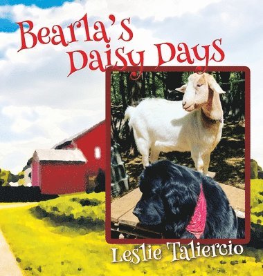 Bearla's Daisy Days 1