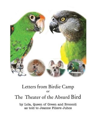 Letters from Birdie Camp 1