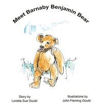 bokomslag Meet Barnaby Benjamin Bear