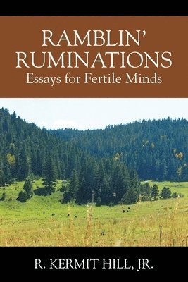 bokomslag Ramblin' Ruminations