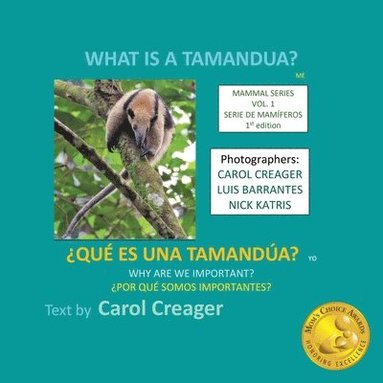 bokomslag What is a Tamandua