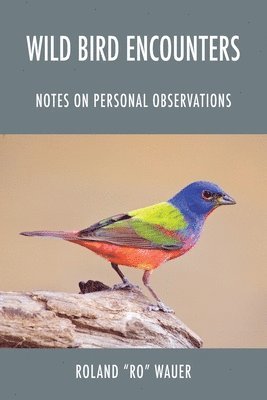 Wild Bird Encounters 1