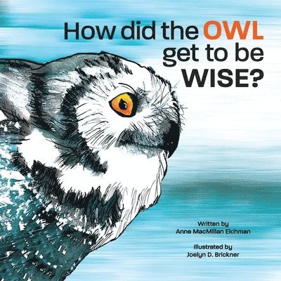Anne MacMillan Eichman - How Did the Owl Get to Be Wise, Häftad