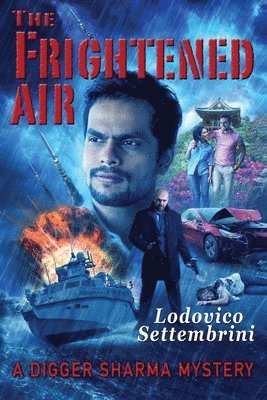 bokomslag Frightened Air