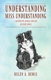 bokomslag Understanding Miss Understanding