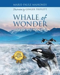 bokomslag Whale of Wonder
