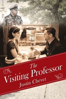 bokomslag Visiting Professor