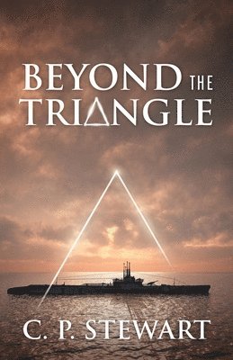 bokomslag Beyond the Triangle