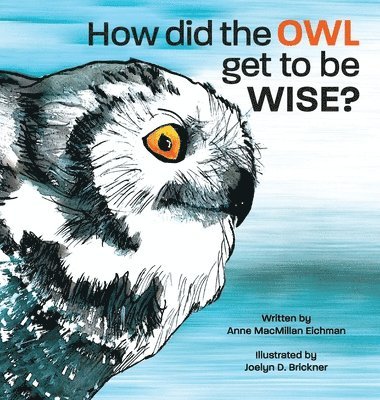 Anne MacMillan Eichman - How Did the Owl Get to Be Wise, Inbunden