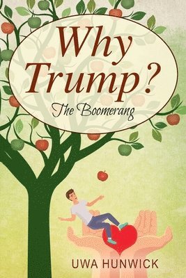 Why Trump? The Boomerang 1