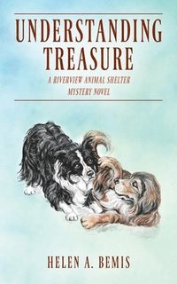 bokomslag Understanding Treasure
