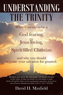 Understanding the Trinity 1