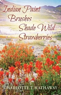 bokomslag Indian Paint Brushes Shade Wild Strawberries