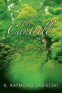 bokomslag The Cantrill Book Three