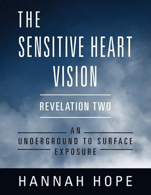 bokomslag Sensitive Heart Vision
