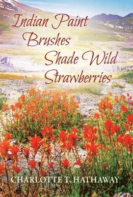 bokomslag Indian Paint Brushes Shade Wild Strawberries