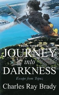 bokomslag Journey Into Darkness