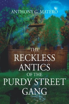 Anthony G Matero, Anthony G. Matero - Reckless Antics of The Purdy Street Gang, Häftad