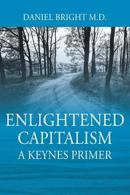 bokomslag Enlightened Capitalism