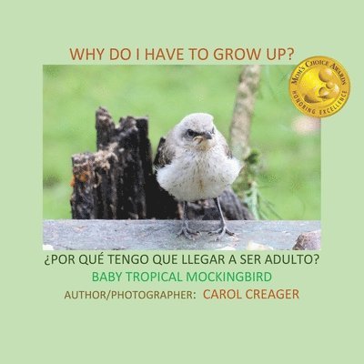 Why Do I Have to Grow Up? ¿POR QUÉ TENGO QUE LLEGAR A SER ADULTO? BABY TROPICAL MOCKINGBIRD