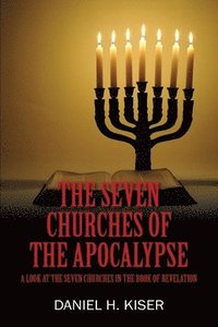 bokomslag Seven Churches of the Apocalypse