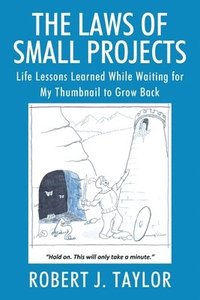 bokomslag The Laws of Small Projects