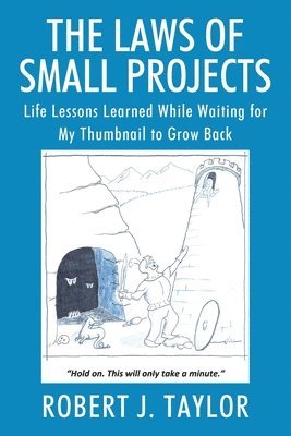 Robert J Taylor, Robert J. Taylor - Laws of Small Projects, Häftad