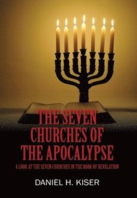 bokomslag Seven Churches of the Apocalypse