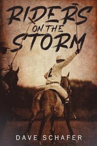 bokomslag Riders on the Storm