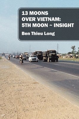 bokomslag 13 Moons Over Vietnam