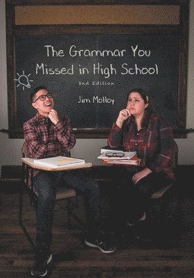 bokomslag Grammar You Missed in High School