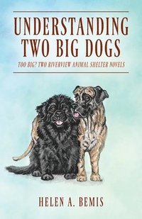 bokomslag Understanding Two Big Dogs