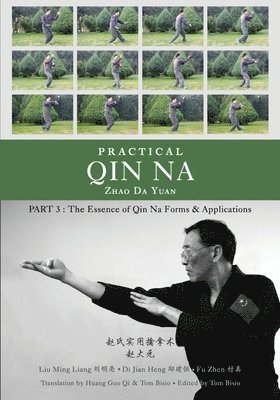 Practical Qin Na Part 3 1