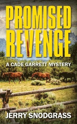 Promised Revenge 1