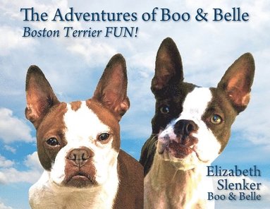 bokomslag Adventures of Boo & Belle
