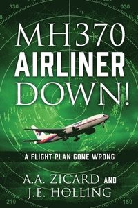 bokomslag Mh370 Airliner Down!