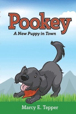 bokomslag Pookey