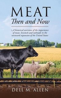 bokomslag Meat Then and Now