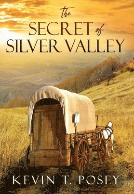 bokomslag Secret of Silver Valley