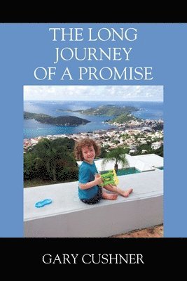 bokomslag Long Journey of a Promise