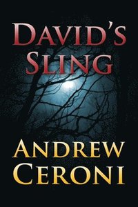 bokomslag David's Sling