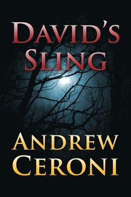 David's Sling 1