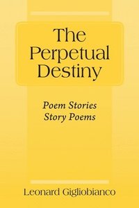bokomslag Perpetual Destiny